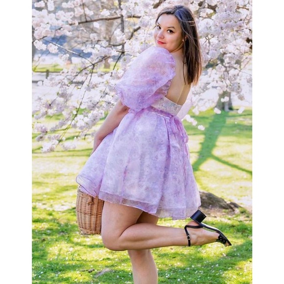 Fanciful Doll Floral Organza Mini Babydoll Dress Purple Pink Size Small - Picture 15 of 15